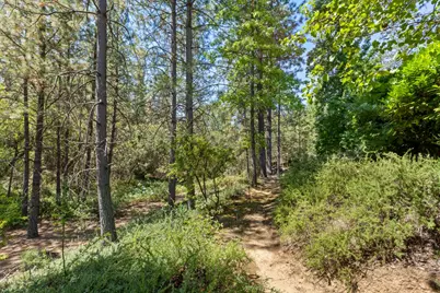 983 Coyote Hill Road, Colfax, CA 95713 - Photo 78