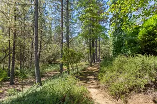 983 Coyote Hill Rd, Colfax, CA 95713 - Photo 78