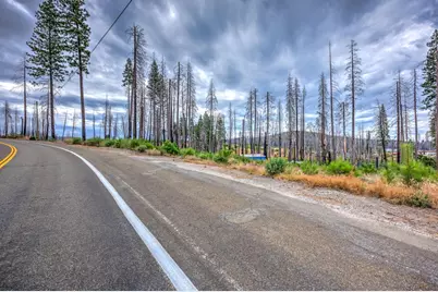 4529 String Canyon Road, Grizzly Flats, CA 95636 - Photo 2