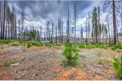 4529 String Canyon Road, Grizzly Flats, CA 95636 - Photo 8