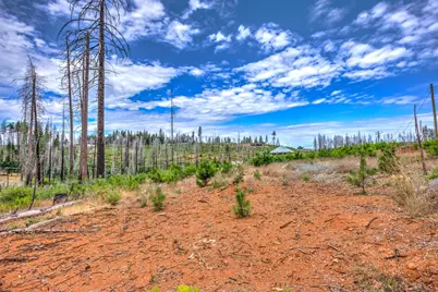 4529 String Canyon Road, Grizzly Flats, CA 95636 - Photo 6