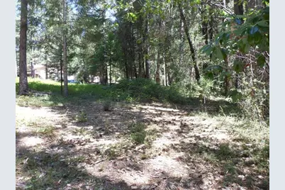 11004 Sutter Way, Nevada City, CA 95959 - Photo 20