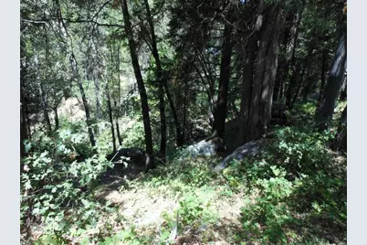 11004 Sutter Way, Nevada City, CA 95959 - Photo 24