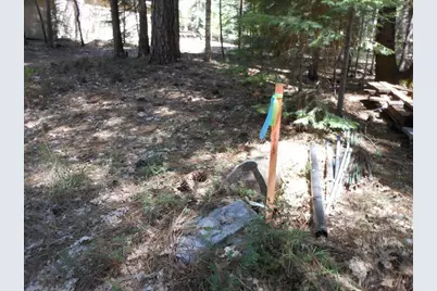 11004 Sutter Way, Nevada City, CA 95959 - Photo 2