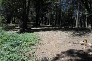 11004 Sutter Way, Nevada City, CA 95959 - Photo 1