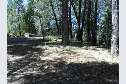 11004 Sutter Way, Nevada City, CA 95959 - Photo 8