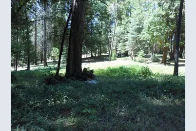 11004 Sutter Way, Nevada City, CA 95959 - Photo 6