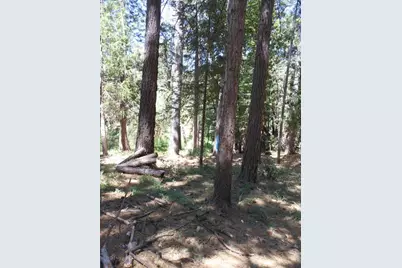11004 Sutter Way, Nevada City, CA 95959 - Photo 4