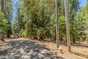 25824 Meadow Dr, Pioneer, CA 95666 - Photo 50