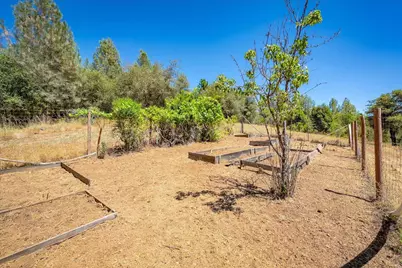3005 Buckboard Road, Placerville, CA 95667 - Photo 54