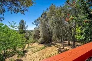 3005 Buckboard Rd, Placerville, CA 95667 - Photo 48
