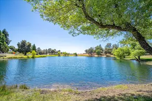 3005 Buckboard Rd, Placerville, CA 95667 - Photo 78