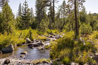 665 N Fork Place, Emigrant Gap, CA 95715 - Photo 2