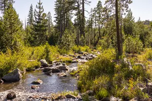 665 N Fork Pl, Emigrant Gap, CA 95715 - Photo 2