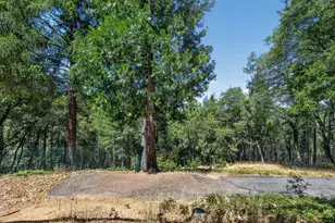 655 Secret Town Ln, Colfax, CA 95713 - Photo 70