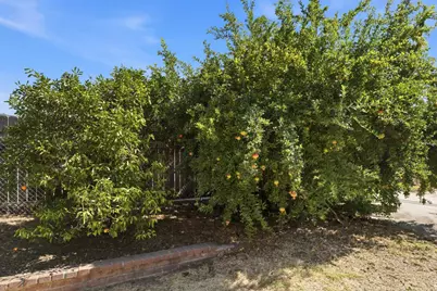 6436 Chestnut Avenue, Orangevale, CA 95662 - Photo 40