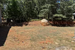 24665 Hwy 88, Pioneer, CA 95666 - Photo 44