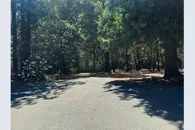 24665 Highway 88, Pioneer, CA 95666 - Photo 36