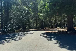 24665 Hwy 88, Pioneer, CA 95666 - Photo 36