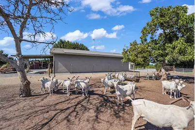 237 Leek Road, Modesto, CA 95357 - Photo 54