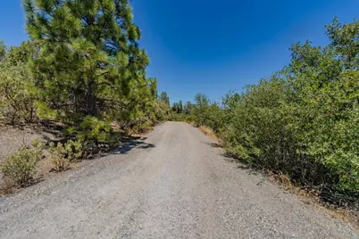 7559 Alamo Road, Mountain Ranch, CA 95246 - Photo 6
