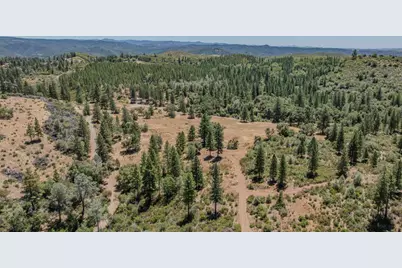 7559 Alamo Road, Mountain Ranch, CA 95246 - Photo 18
