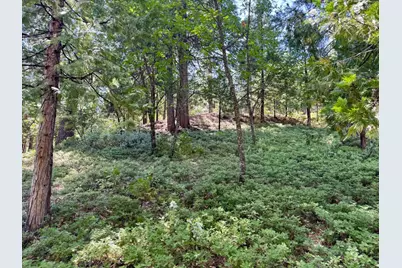 1647 Gertrude Way, Arnold, CA 95223 - Photo 2