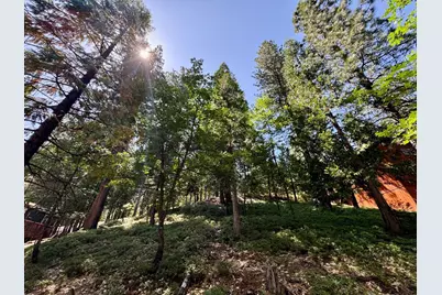 1647 Gertrude Way, Arnold, CA 95223 - Photo 8