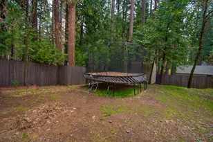 5701 Columbine Way, Pollock Pines, CA 95726 - Photo 34