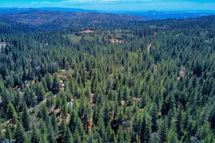1600 Ridge Rd, Mokelumne Hill, CA 95245 - Photo 80
