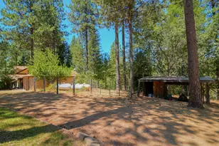 1600 Ridge Rd, Mokelumne Hill, CA 95245 - Photo 60