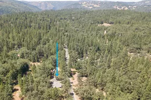 20310 Hwy 26, West Point, CA 95255 - Photo 60