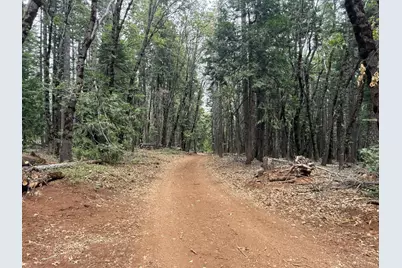 11955 Chalk Bluff Road, Nevada City, CA 95959 - Photo 20