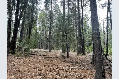 11955 Chalk Bluff Road, Nevada City, CA 95959 - Photo 16