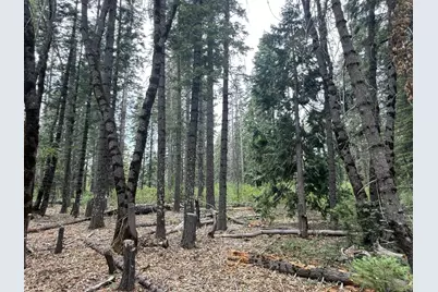 11955 Chalk Bluff Road, Nevada City, CA 95959 - Photo 18