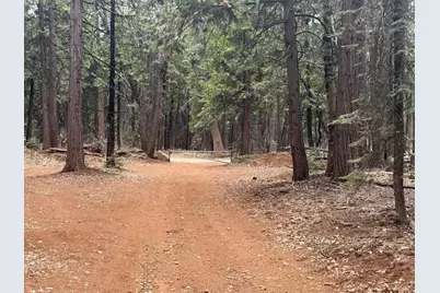 11955 Chalk Bluff Road, Nevada City, CA 95959 - Photo 30