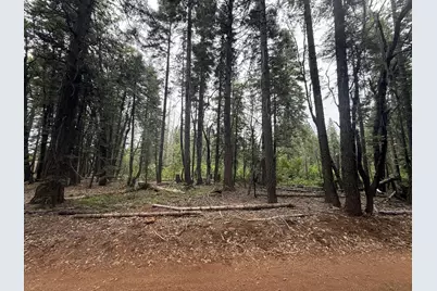 11955 Chalk Bluff Road, Nevada City, CA 95959 - Photo 28