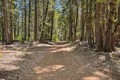 11955 Chalk Bluff Road, Nevada City, CA 95959 - Photo 40