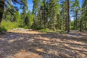 11955 Chalk Bluff Rd, Nevada City, CA 95959 - Photo 32