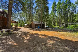 11955 Chalk Bluff Rd, Nevada City, CA 95959 - Photo 22
