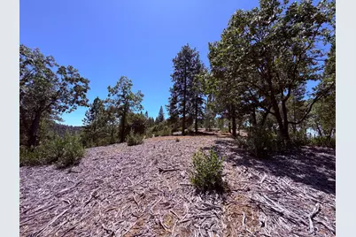 10 Big Oak Court, Placerville, CA 95667 - Photo 8