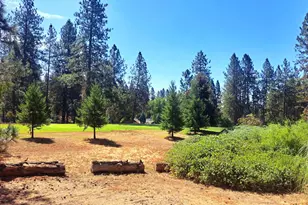 15287 Kingsbury Cir, Grass Valley, CA 95949 - Photo 42