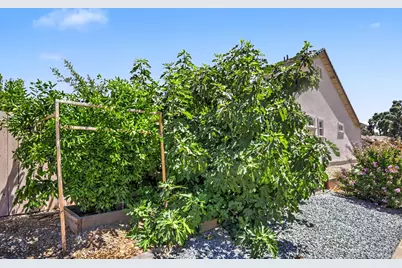 327 Manor Drive, Ione, CA 95640 - Photo 66