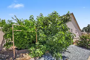 327 Manor Dr, Ione, CA 95640 - Photo 66