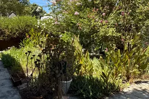 608 Elm St, Woodland, CA 95695 - Photo 10