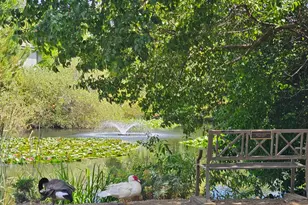 13017 Lincoln Way, Auburn, CA 95603 - Photo 40