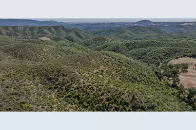 8519 Maranatha Lane, Mountain Ranch, CA 95246 - Photo 42