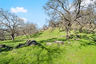 8251 Buffalo Ridge Rd, Ione, CA 95640 - Photo 64