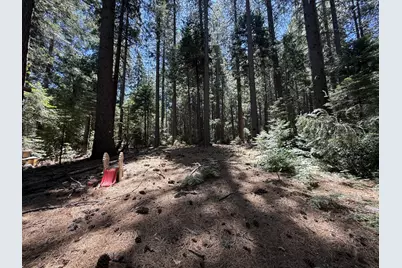 11250 Washington Road, Nevada City, CA 95959 - Photo 6