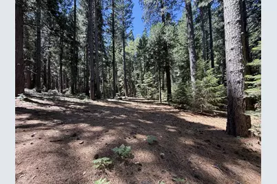 11250 Washington Road, Nevada City, CA 95959 - Photo 2